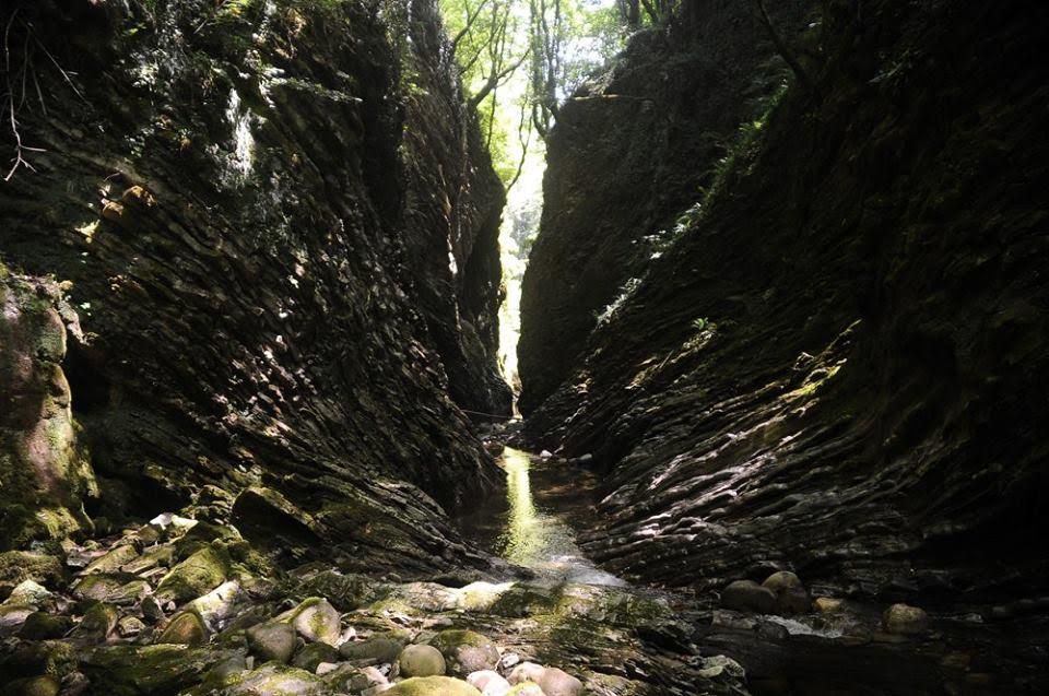 bella foto della natura nel Cilento