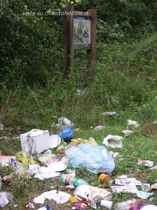 anatre rare tra i rifiuti cilento