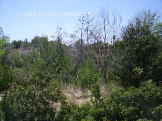 erosione costiera parco