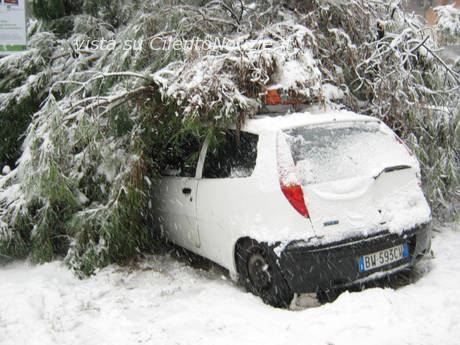 gelo polare e riscaldamento globale