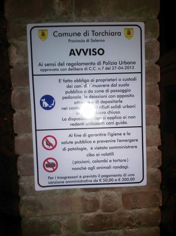 divieto torchiara