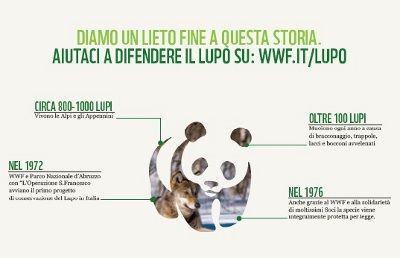 info adotta lupo wwf