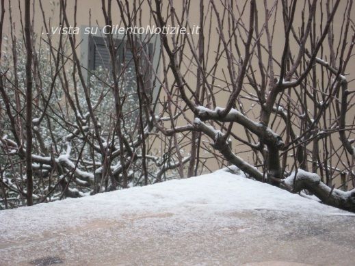 neve a torchiara mattina del 07 02 2012