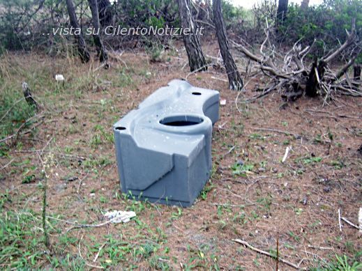 rifiuti in pineta