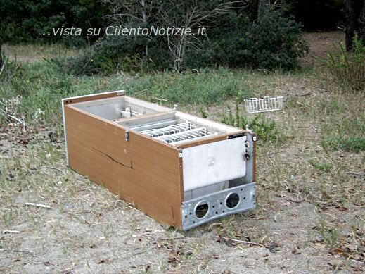 frigorifero in pineta