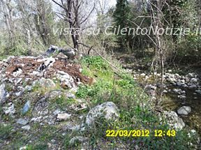 balconi bruciati erba