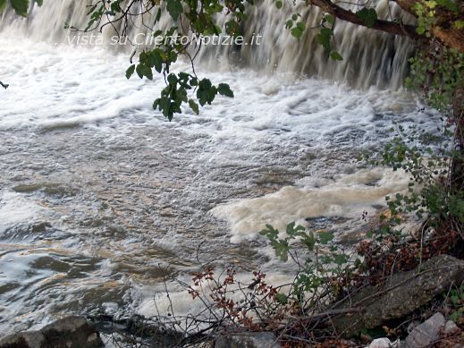 schiuma mingardo dopo pioggia