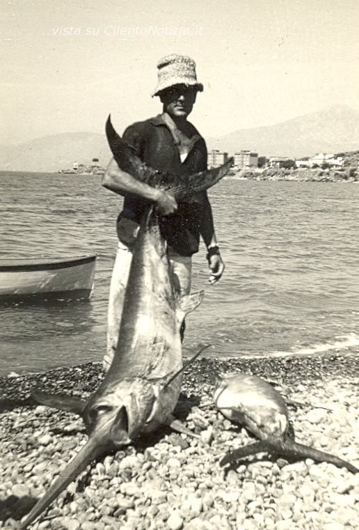 pesca tonno rosso sapri cilento foto michelangelo