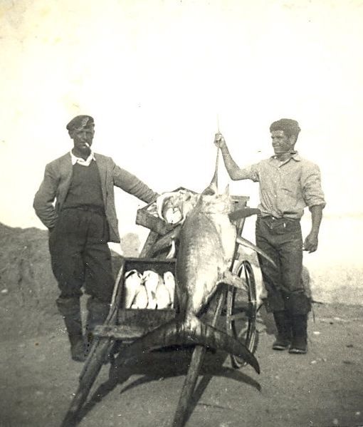 racconti pescatori di tonno rosso sapri