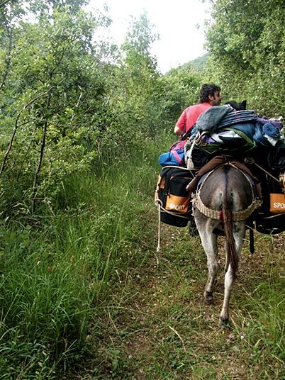viaggiolento con il ciuccio