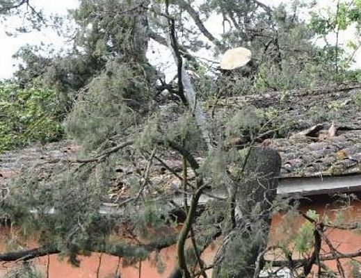 01012015 vento forte sanza