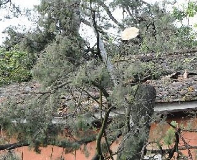 01012015 vento forte sanza