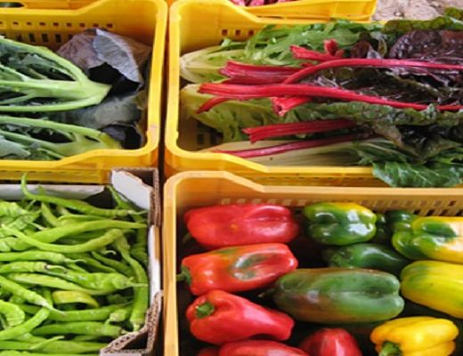 01022014 agroalimentare