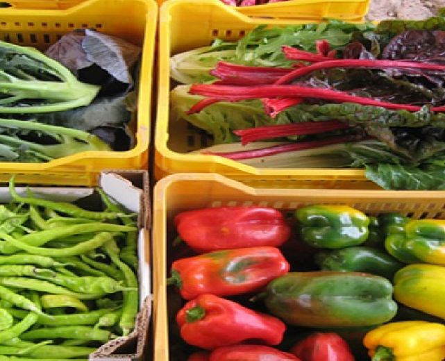 01022014 agroalimentare