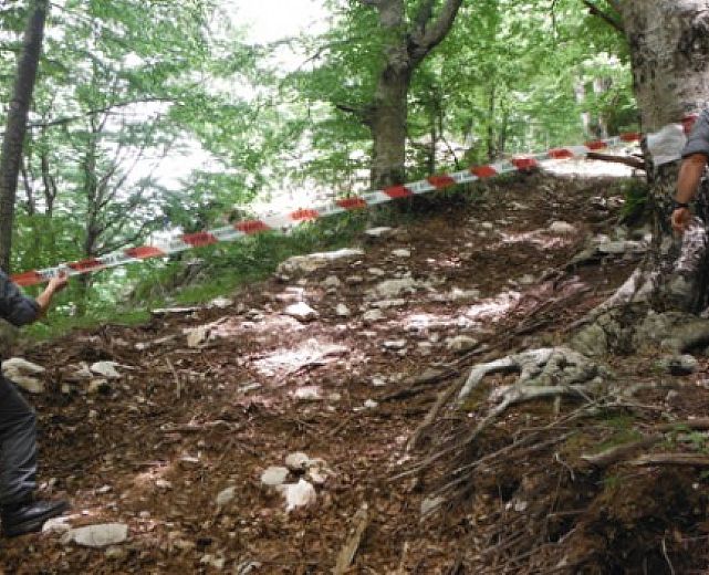 01022016 forestale taglio alberi