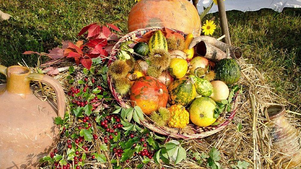 01022021 prodotti agriturismo