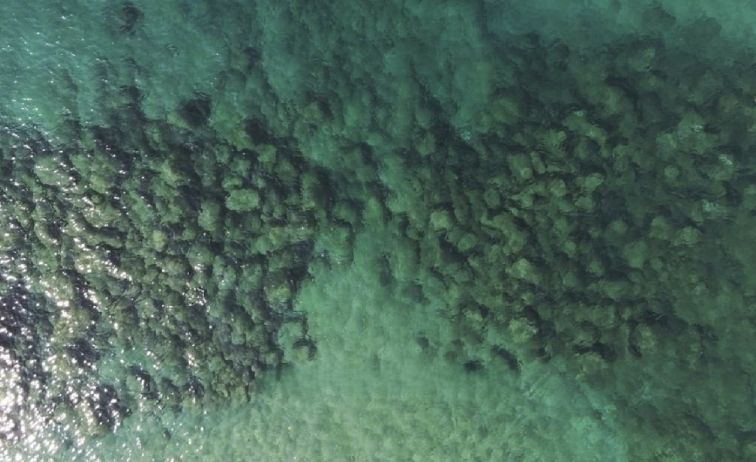 erosione costiera foto