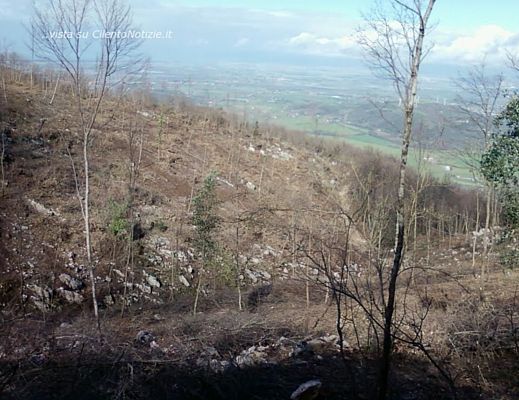 01042014 foto taglio bosco