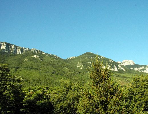 01042014 scoperta sui monti alburni
