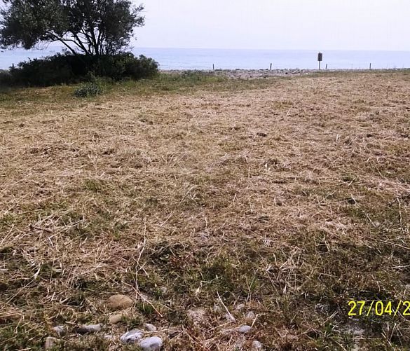 01052017 foto abbate 01