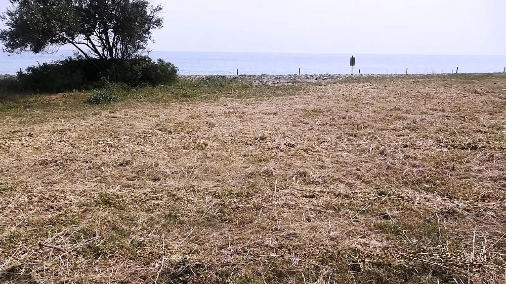 01052017 foto abbate 01