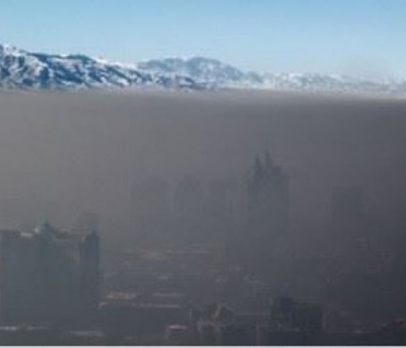 Paolo-Abbate foto - 01062016 degrado ambientale