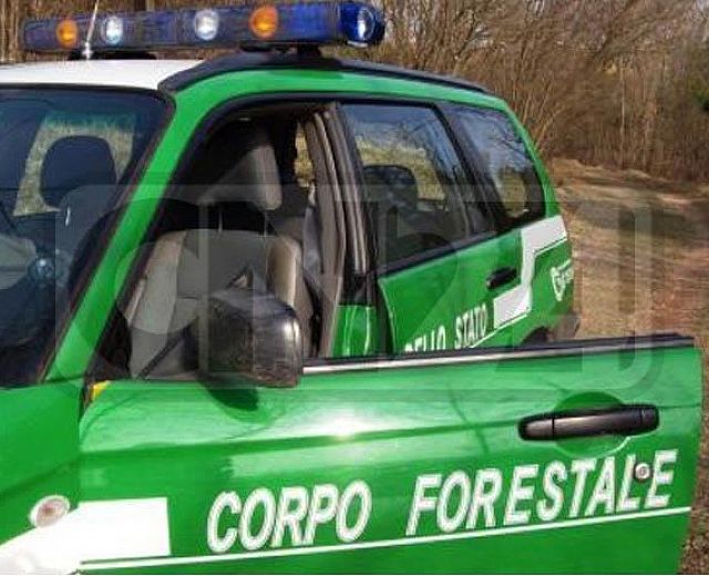 01072013 corpo forestale2