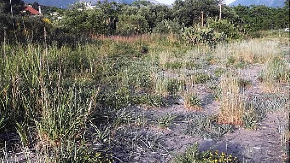 01072016 dune sabbia vibonati