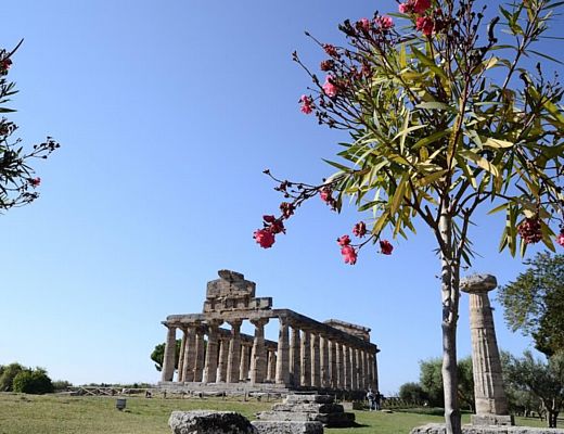 01082015 tempio paestum