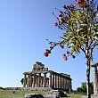 Capaccio Paestum Notizie foto - 01082015 tempio paestum