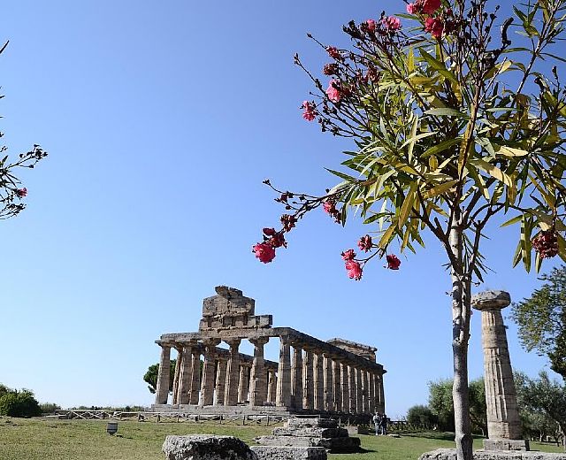 01082015 tempio paestum