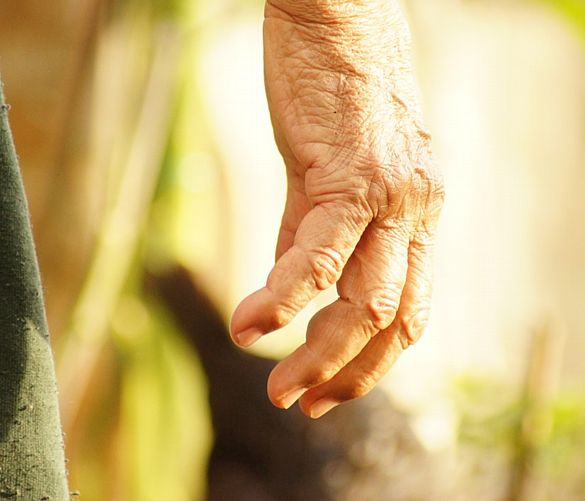 Giuseppe-Lembo foto - 01082017 mano contadino