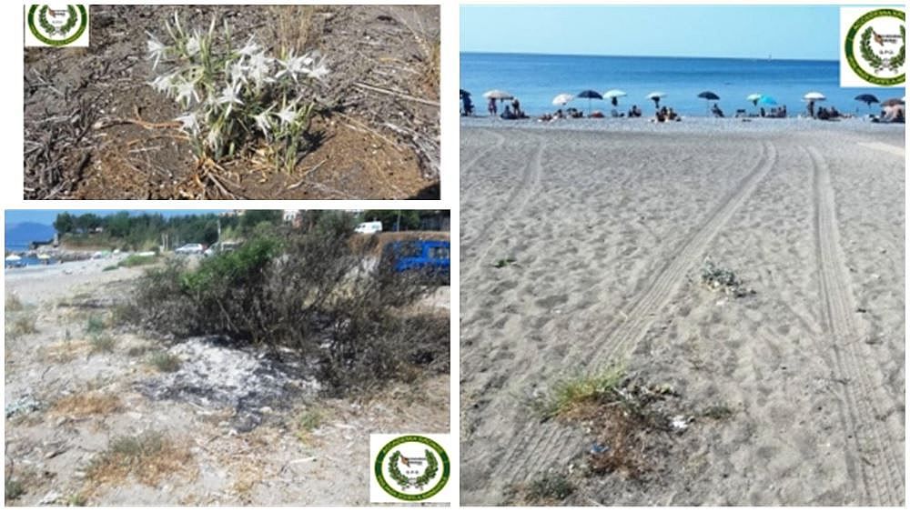 01092017 cstampa ambiente vibonati