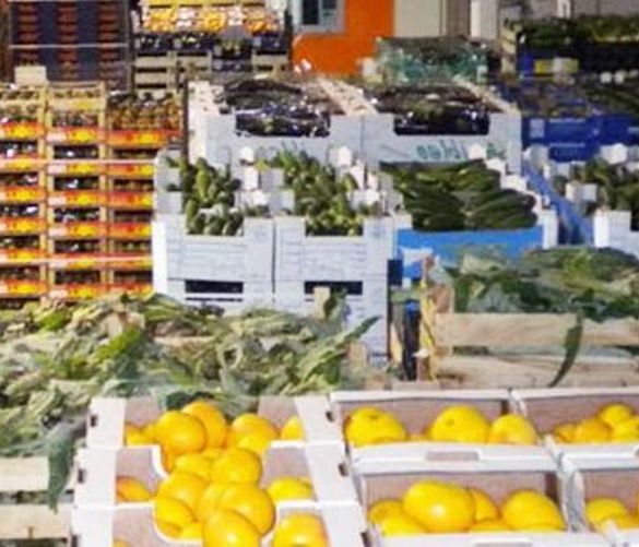 01112016 trasporti alimenti
