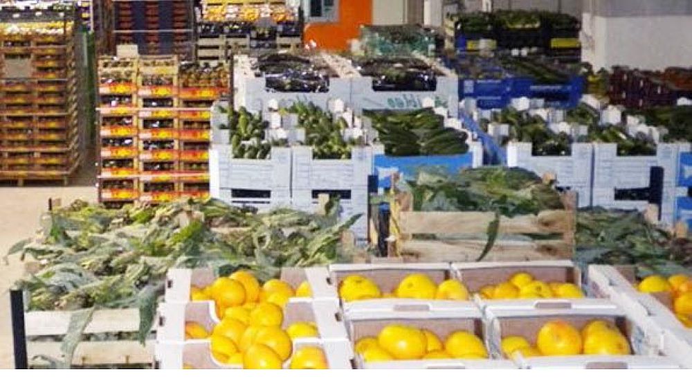 01112016 trasporti alimenti