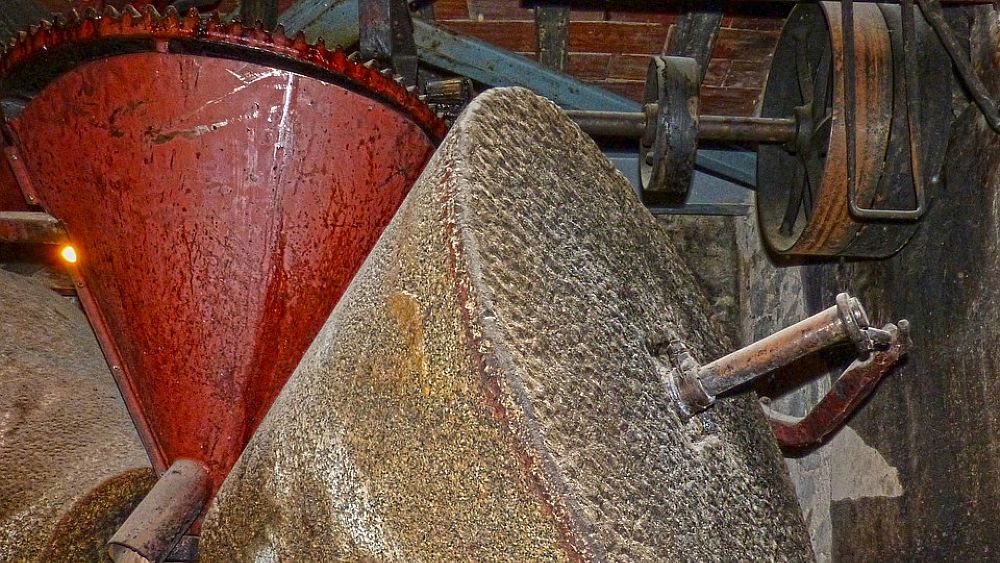 01122016 frantoio olio