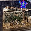 01122025 presepe nel borgo morigerati