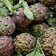 Salute foto - 02012016 carciofi