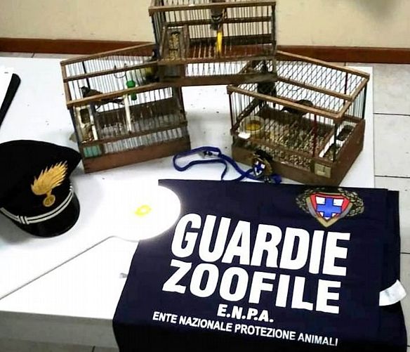 02012019 operazione enpa