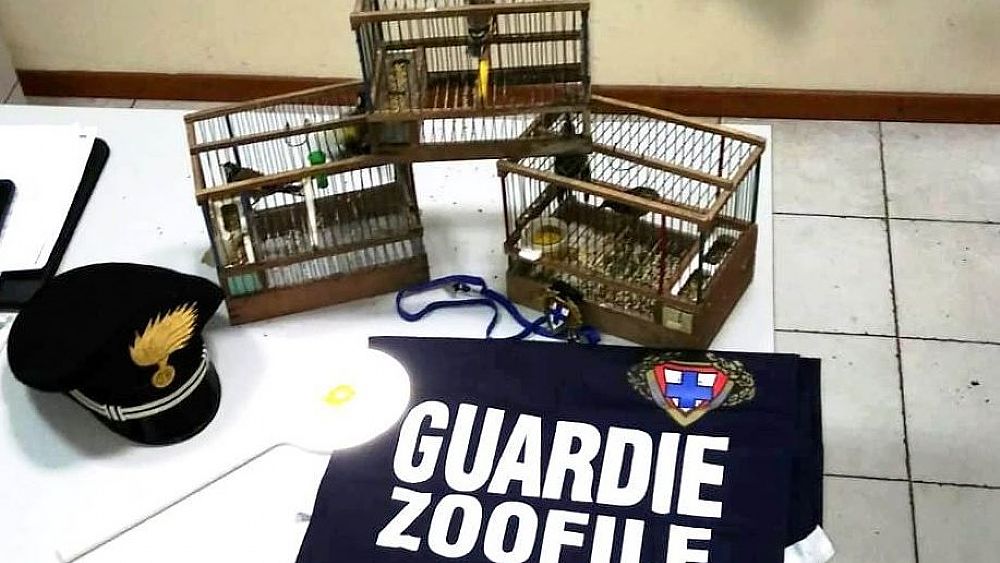 02012019 operazione enpa