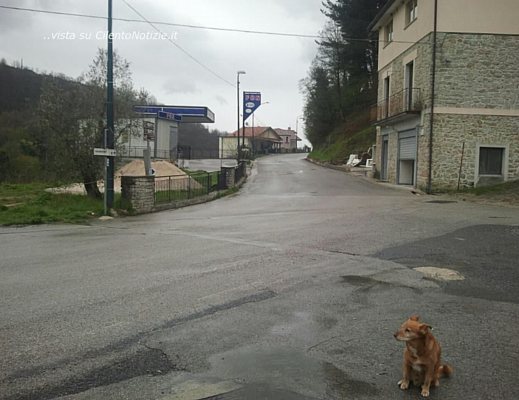 Nicola-Salati foto - 02022013 lavori sp47