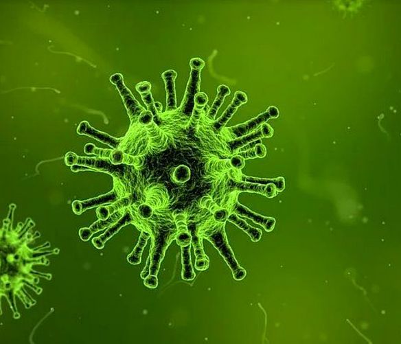 02022020 virus
