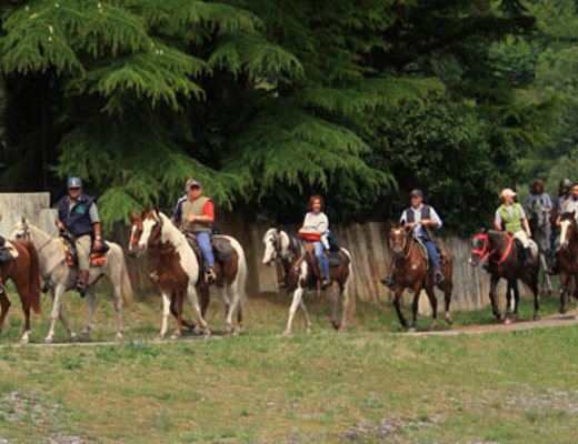 02032013 fitetrec ante