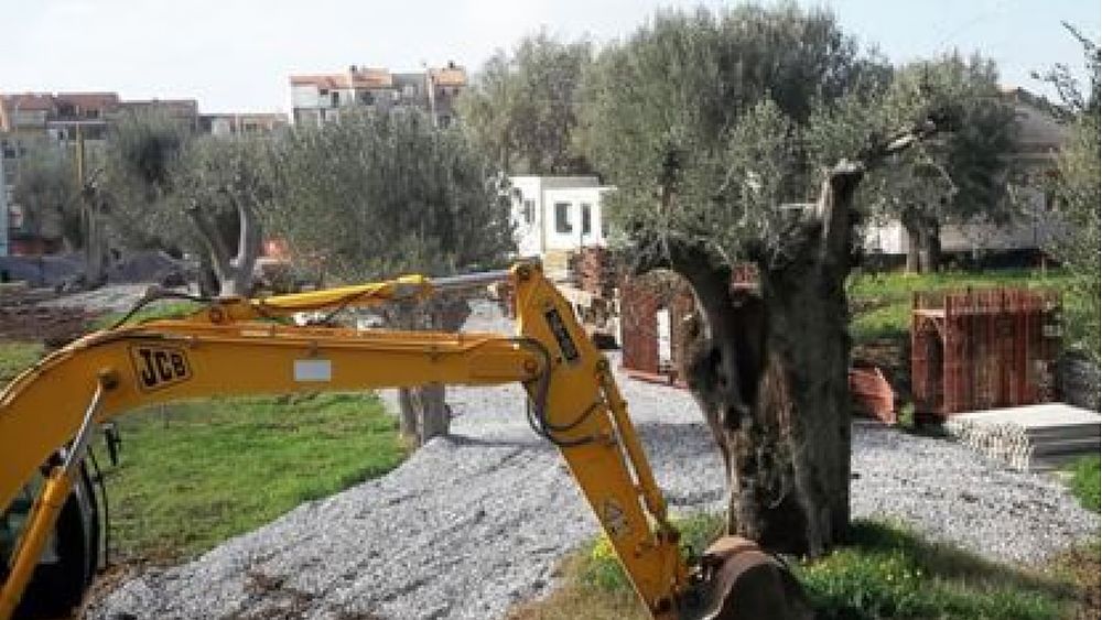 02032017 economia sostenibile abbate 01 02032017 economia sostenibile abbate 01