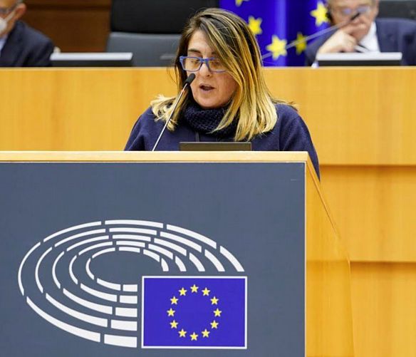 02032021 vuolo europarlamentare