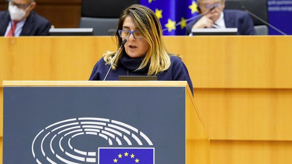 02032021 vuolo europarlamentare