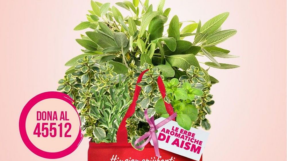 02032022 erbearomatiche aism2022
