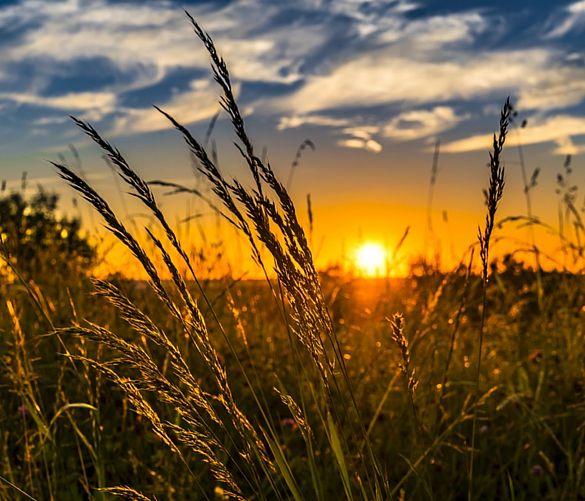 02042018 agricoltura