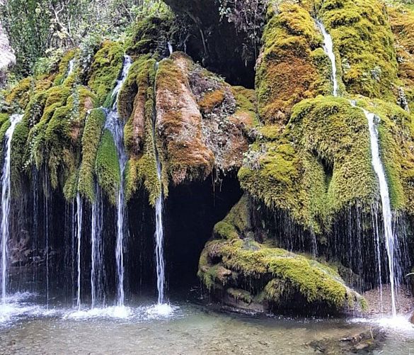 02042024 capelli di venere cascata cilento