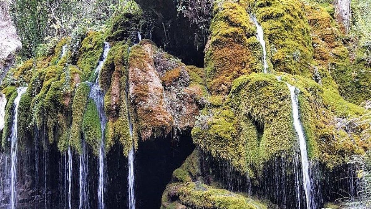 02042024 capelli di venere cascata cilento